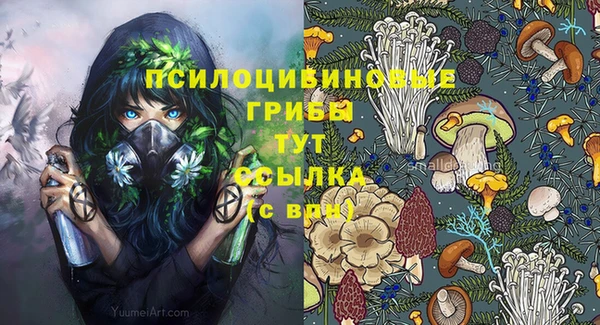 не бодяженный Абинск