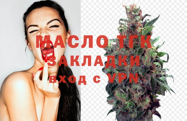 твердый Протвино