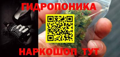 индика Конаково