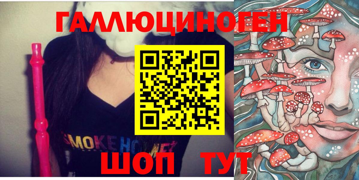 Псилоцибиновые грибы Psilocybe  Вход с VPN  Галлюциногенные грибы MAGIC MUSHROOMS  Майский 